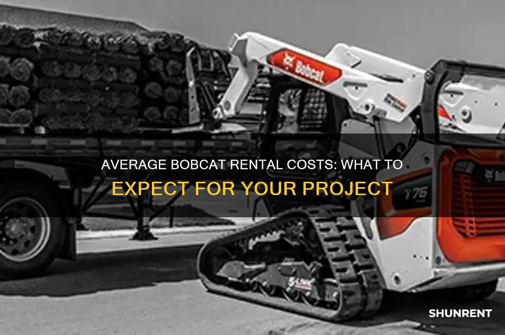 what is the average for renting a bobbcat