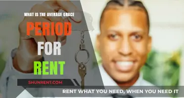 Understanding the Standard Grace Period for Rent Payments: A Guide