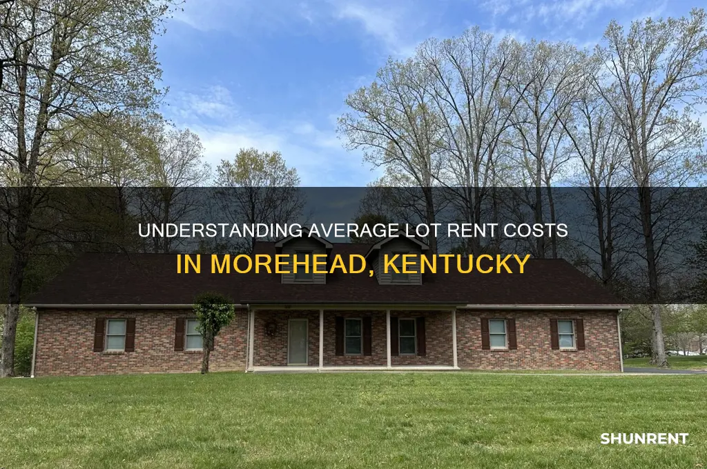 what is the average lot rent in morhead ky