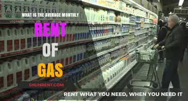 Understanding the Average Monthly Gas Expenses for Renters