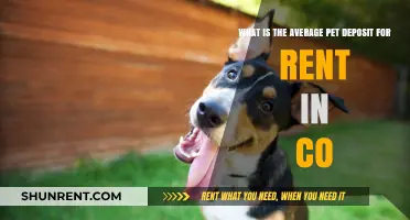 Average Pet Deposit for Rent in Colorado: What to Expect
