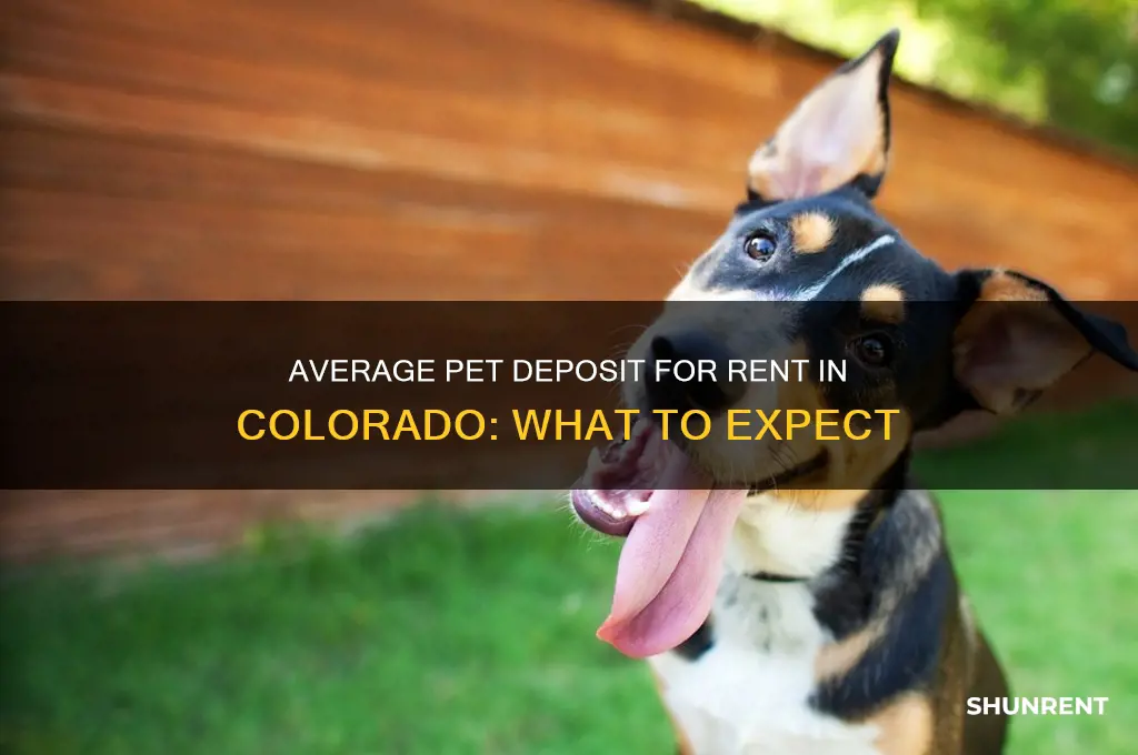 what is the average pet deposit for rent in co