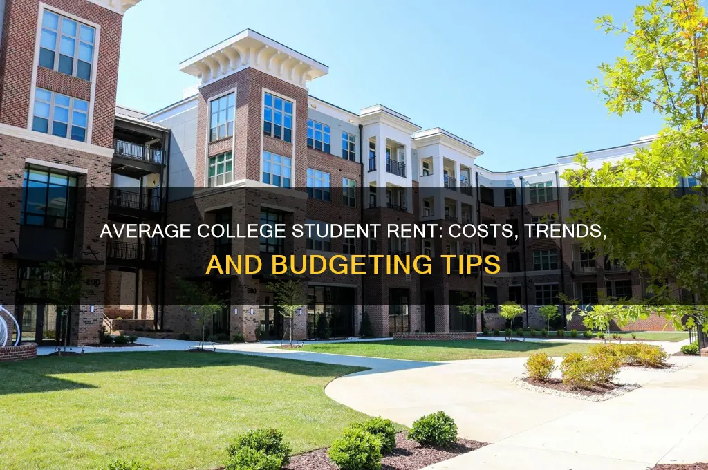 what is the average rent for a college student