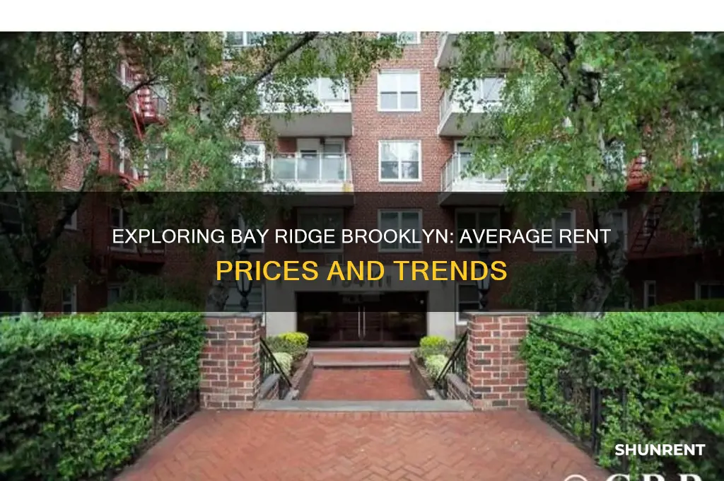 what is the average rent in bay ridge brooklyn