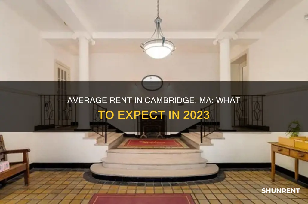 what is the average rent in cambridge ma