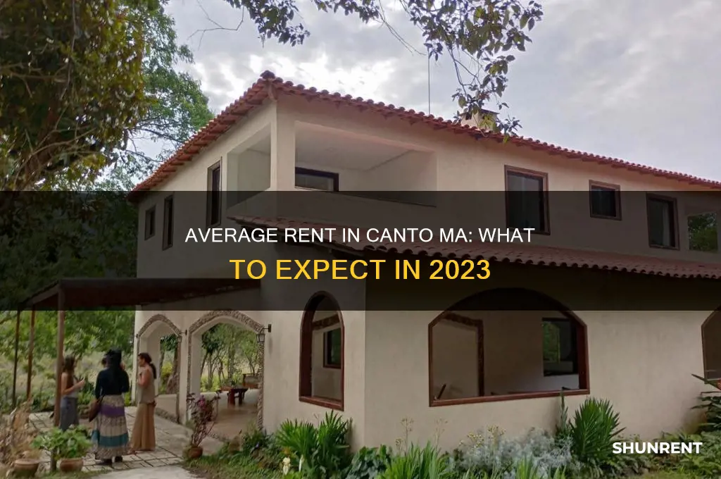what is the average rent in canto ma