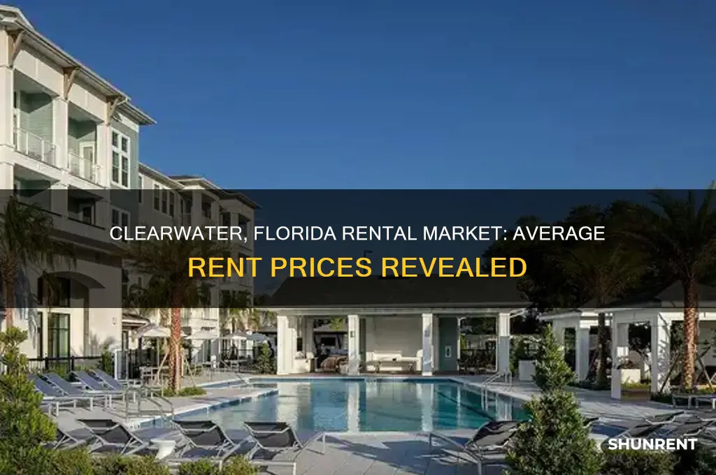 what is the average rent in clearwater florida