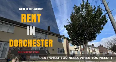 Exploring Dorchester: What's the Average Rent in This Vibrant Boston Neighborhood?