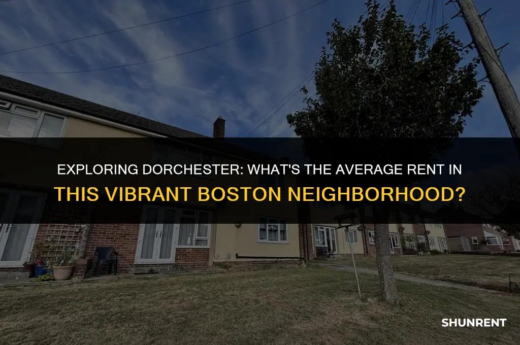 what is the average rent in dorchester