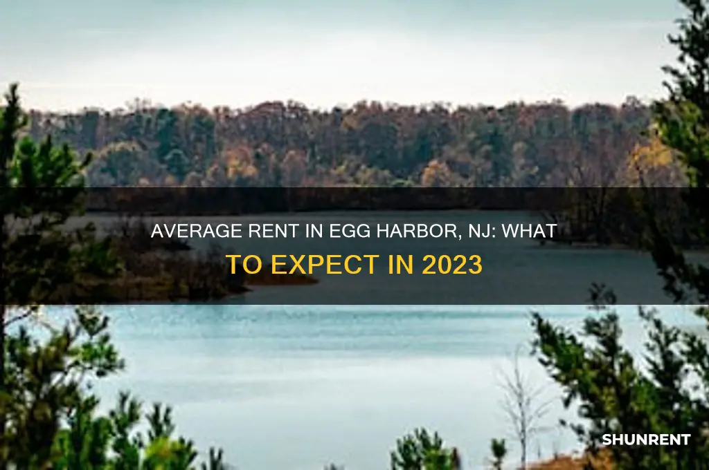 what is the average rent in egg harbpr new jersey