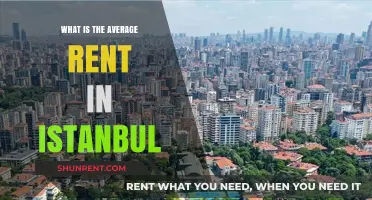 Exploring Istanbul's Rental Market: What's the Average Rent in 2023?