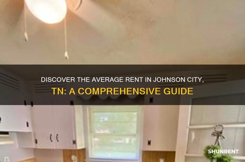 what is the average rent in johnson city tn