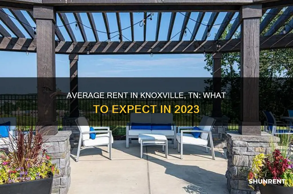 what is the average rent in knoxville tn