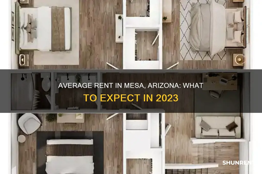 what is the average rent in mesa arizona