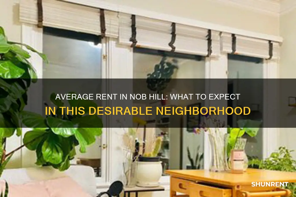 what is the average rent in nob hill