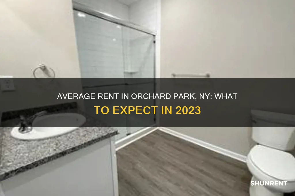 what is the average rent in orchard park ny