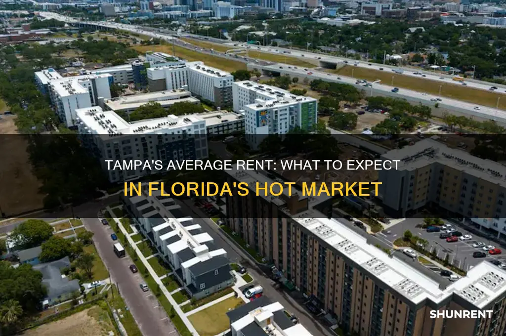 what is the average rent in tampa fl