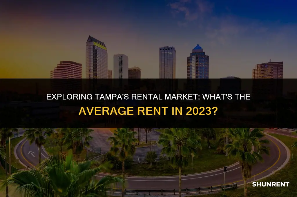 what is the average rent in tampa
