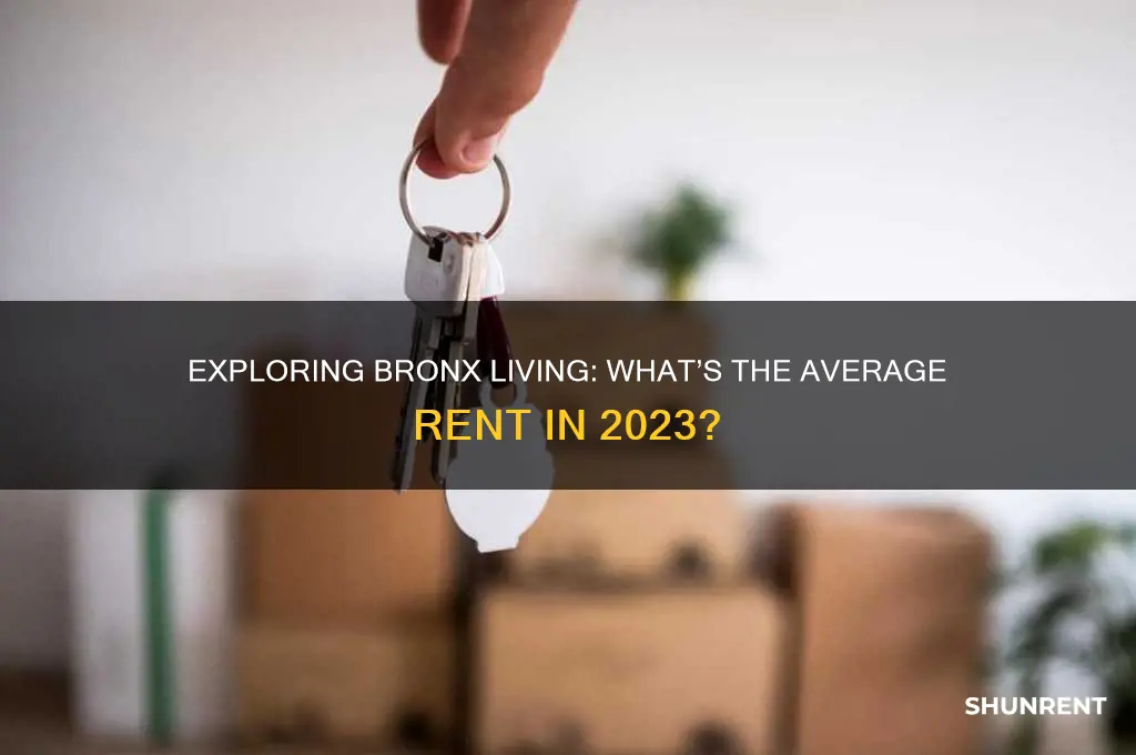 what is the average rent in the bronx