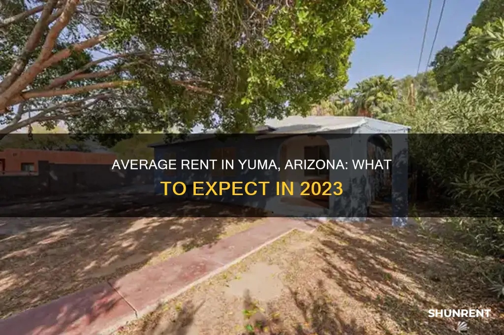 what is the average rent in yuma arizona