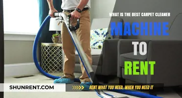 Top Rental Carpet Cleaner Machines for Spotless Floors: A Guide