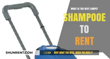 Top Carpet Shampooer Rentals: Best Options for Deep Cleaning