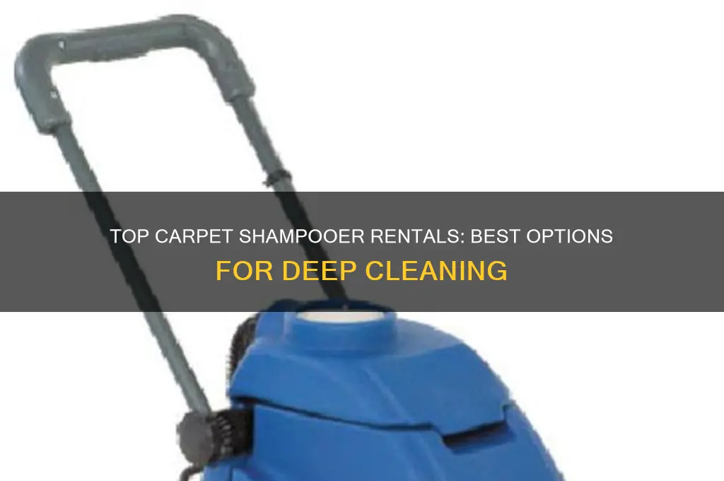 what is the best carpet shampooer to rent