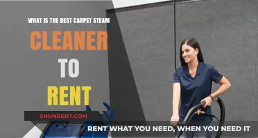 Top Carpet Steam Cleaner Rentals: Find the Perfect Fit for Your Home
