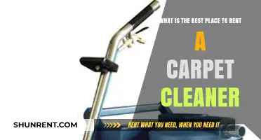 Top Spots to Rent a Carpet Cleaner for Spotless Results