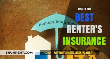 Protecting Your Belongings: A Guide to the Best Renter's Insurance
