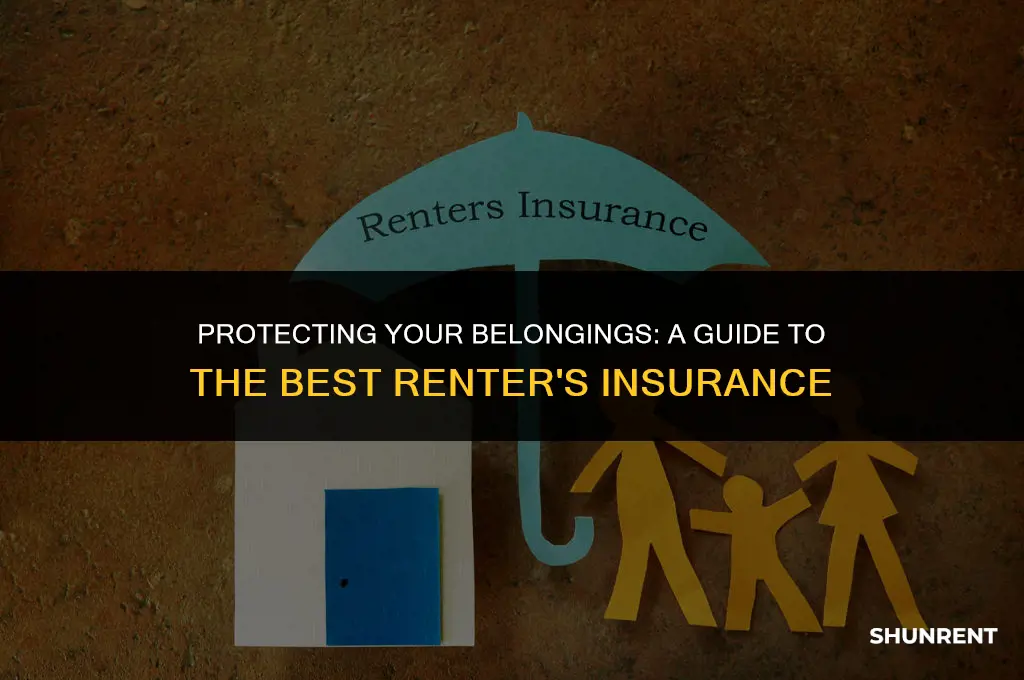 what is the best renter