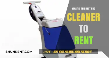 Top Rug Cleaner Rentals: Find the Perfect Fit for Your Home