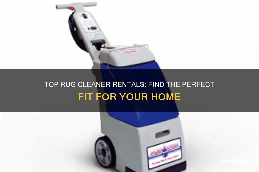 what is the best rug cleaner to rent