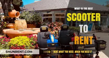 Scooter Rental Showdown: Which One Reigns Supreme?