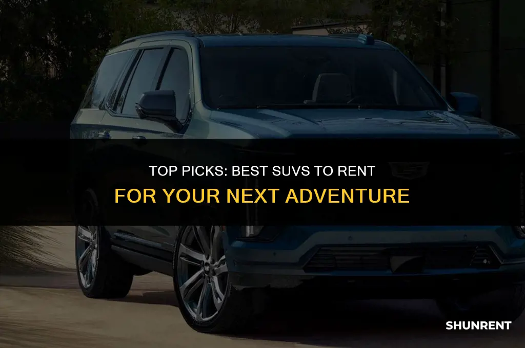 what is the best suv to rent