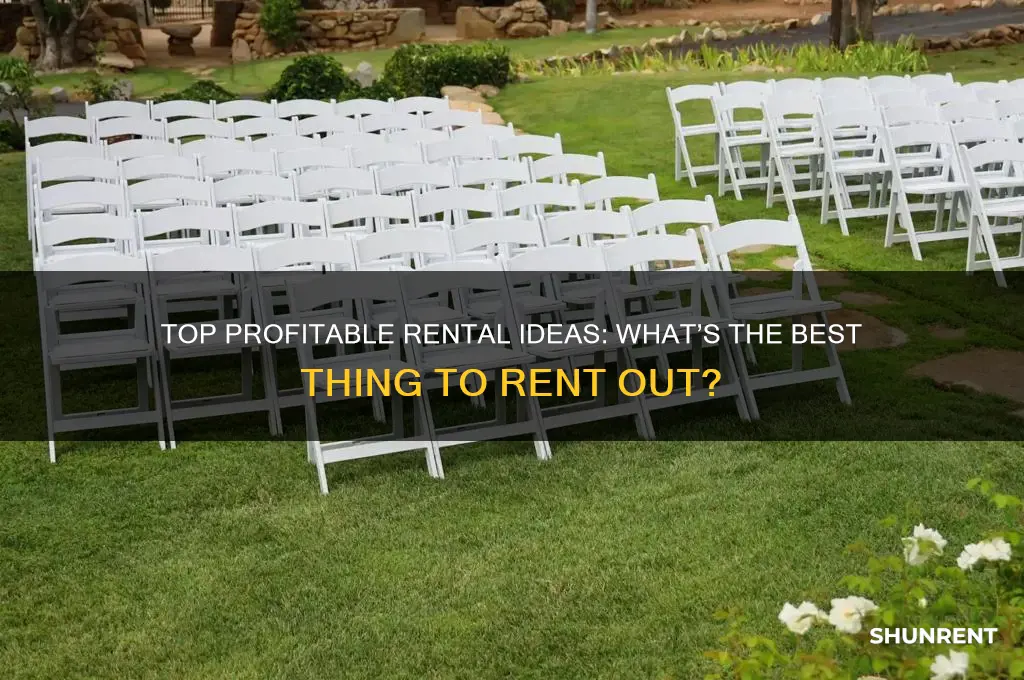 what is the best thing to rent out