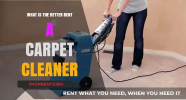 Renting a Carpet Cleaner: Top Tips for Spotless Results