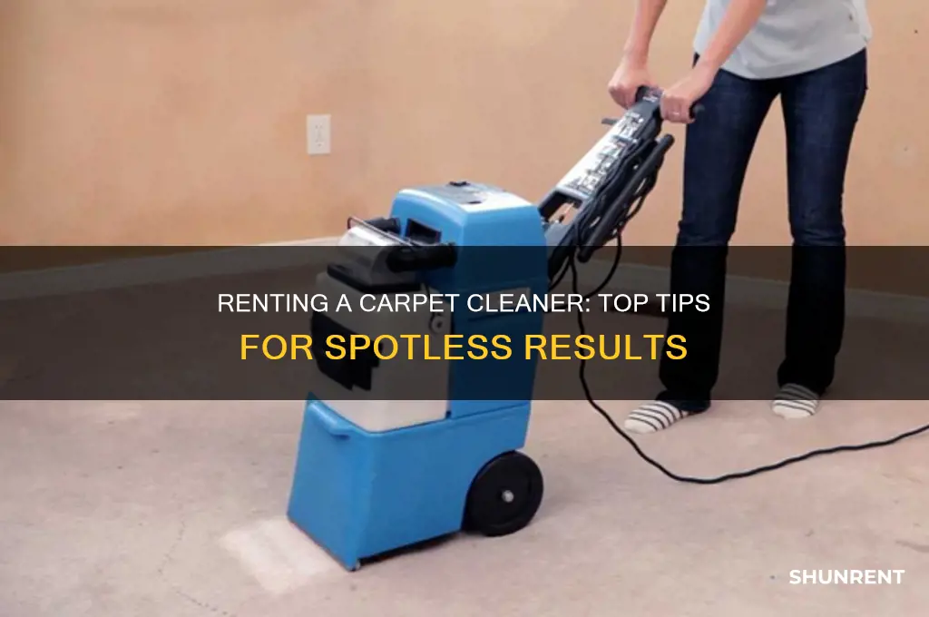 what is the better rent a carpet cleaner
