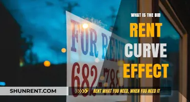 Understanding the Bid Rent Curve Effect in Urban Economics