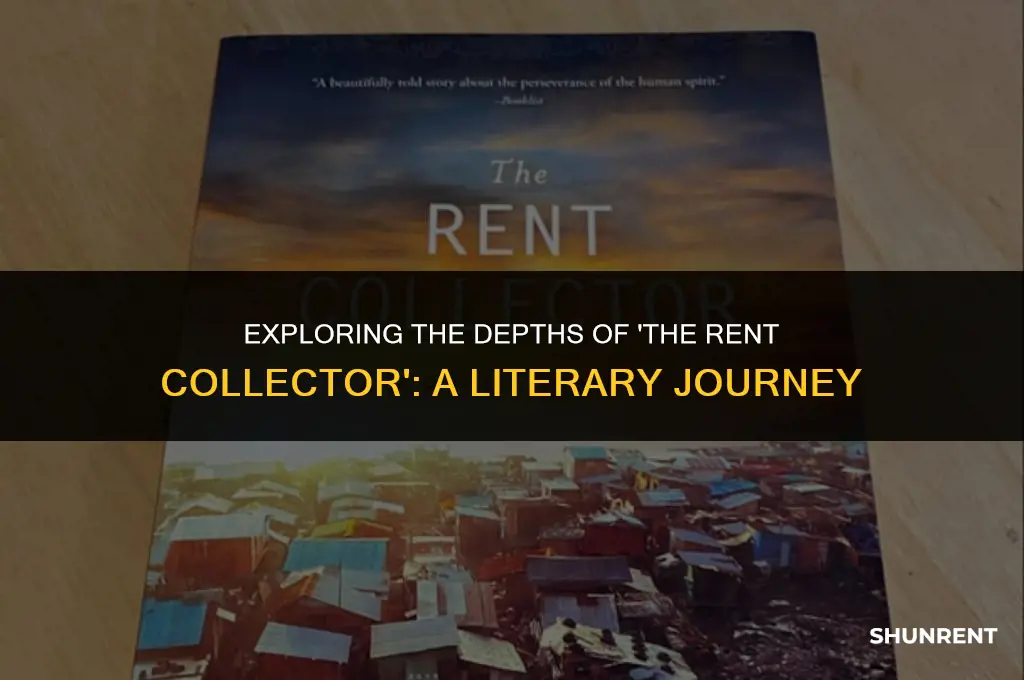 what is the book rent collector about