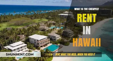 Discovering Hawaii's Most Affordable Rental Gems: A Local's Guide