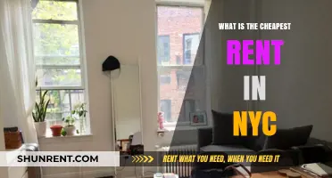Discovering Affordable Living: The Quest for NYC's Cheapest Rent