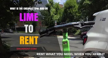 Spin vs. Lime: Which Scooter Rental Offers the Best Budget Deal?