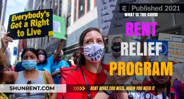 Understanding the COVID Rent Relief Program: A Comprehensive Guide