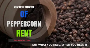 Understanding Peppercorn Rent: A Beginner's Guide to Minimal Lease Payments