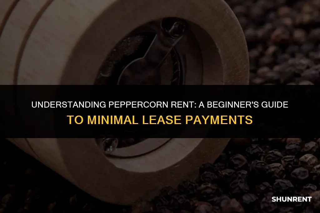 what is the definition of peppercorn rent
