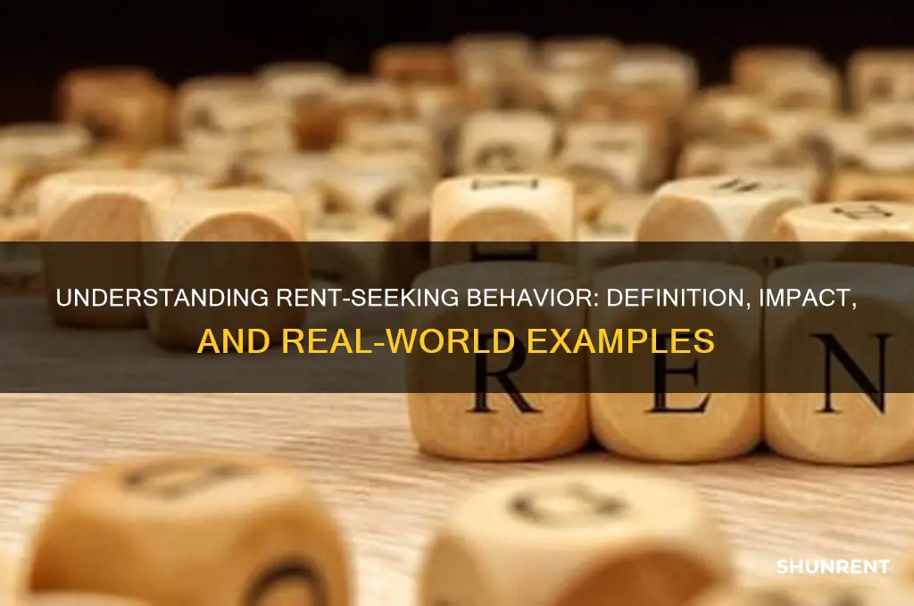 what is the definition of rent-seeking behavior