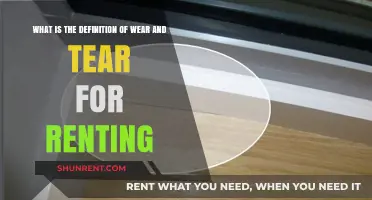 Understanding Wear and Tear: A Renter's Guide to Property Expectations