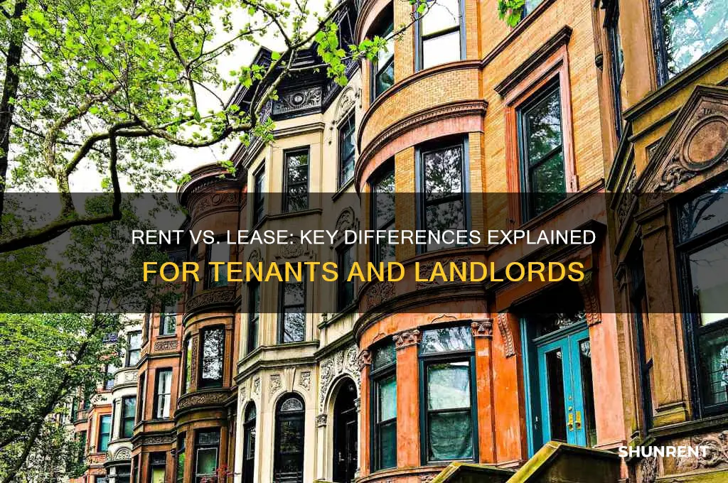 what is the differance between rent and lease