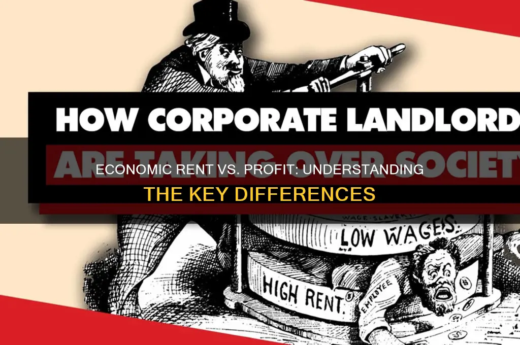 what is the difference between economic rent and profit